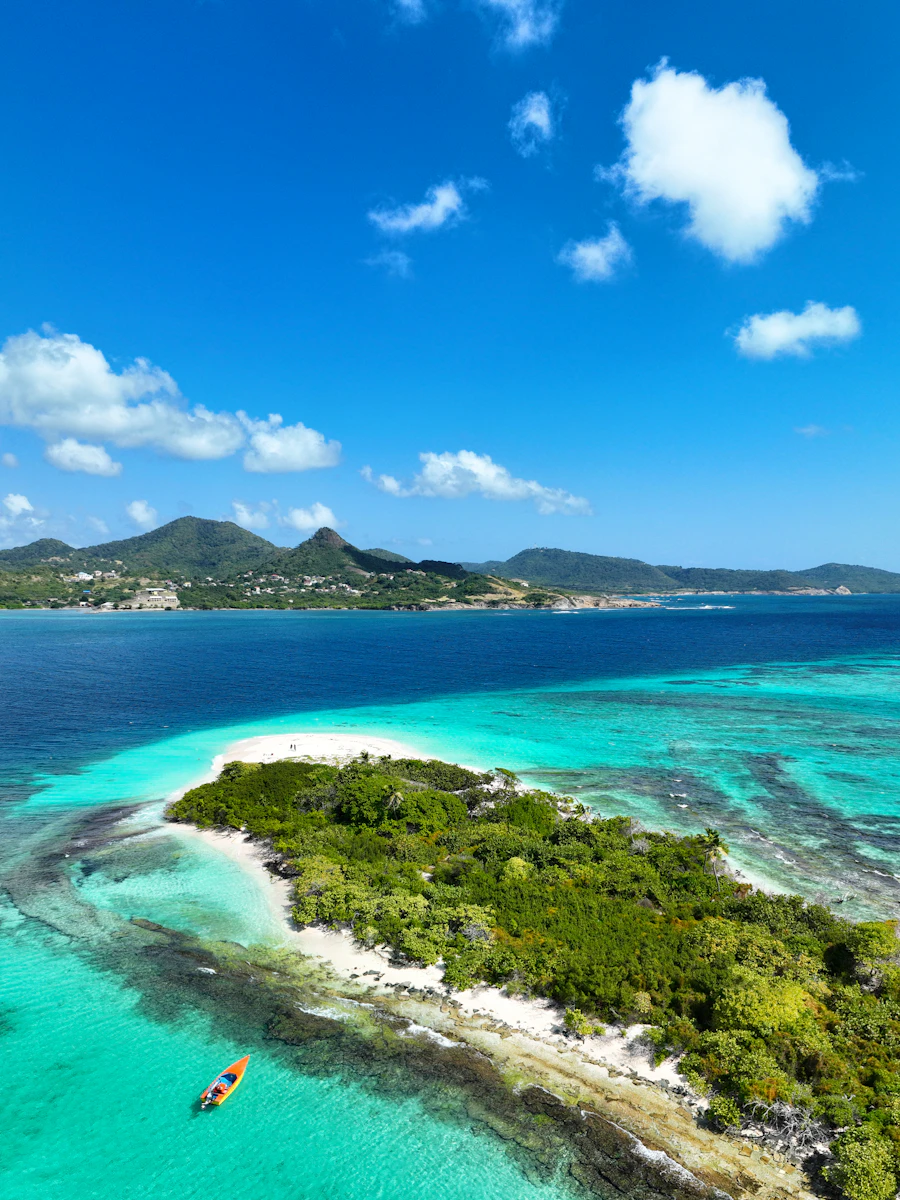 A small palm covered island ringed by turquoise shallows