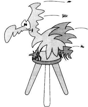 Barstool Bird Watching