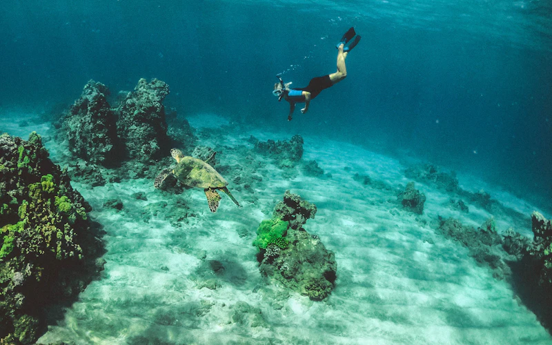 A diver in clear blue water above the reef