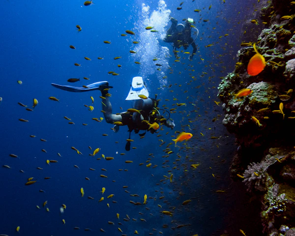 A diver descending along a reef wall among clouds of small fish