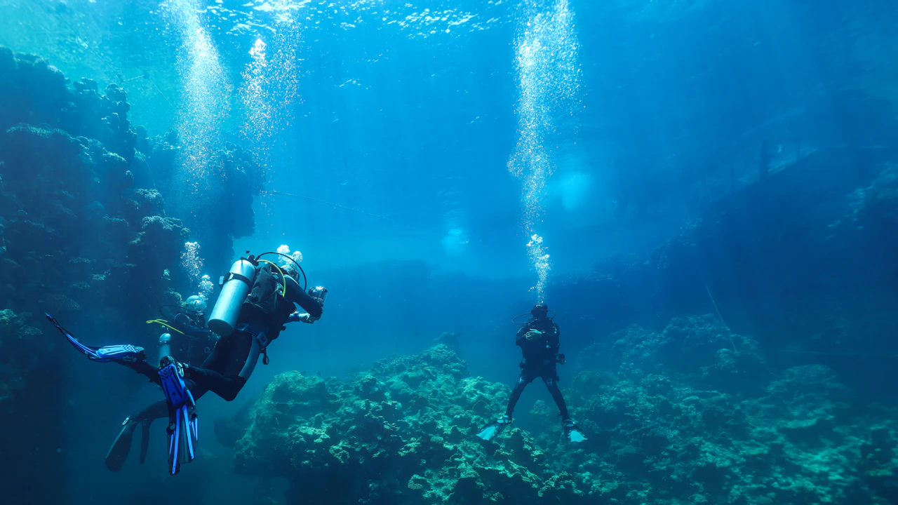Two scuba divers swimming above a healthy coral reef in clear blue water