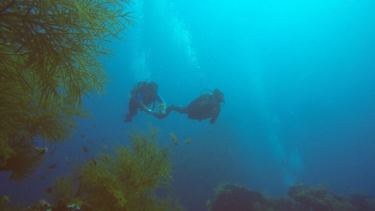 Two scuba divers swimming along a steep coral reef wall in blue water