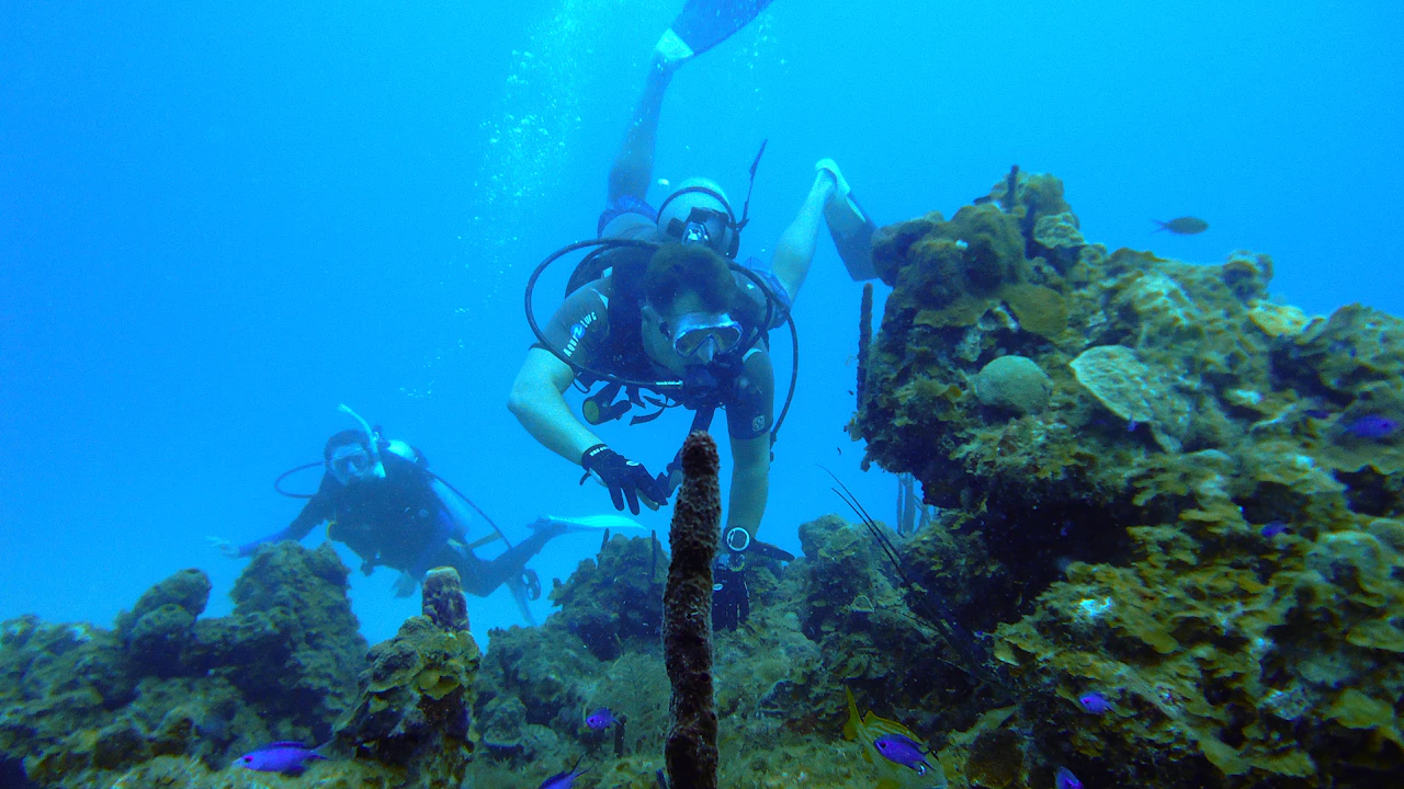 Scuba divers swimming together over a coral reef