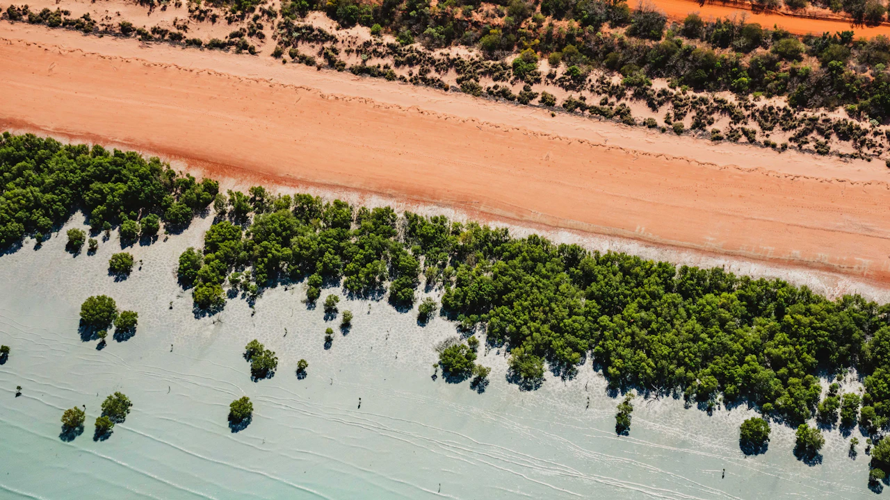 Aerial view of mangroves along a shallow coastline