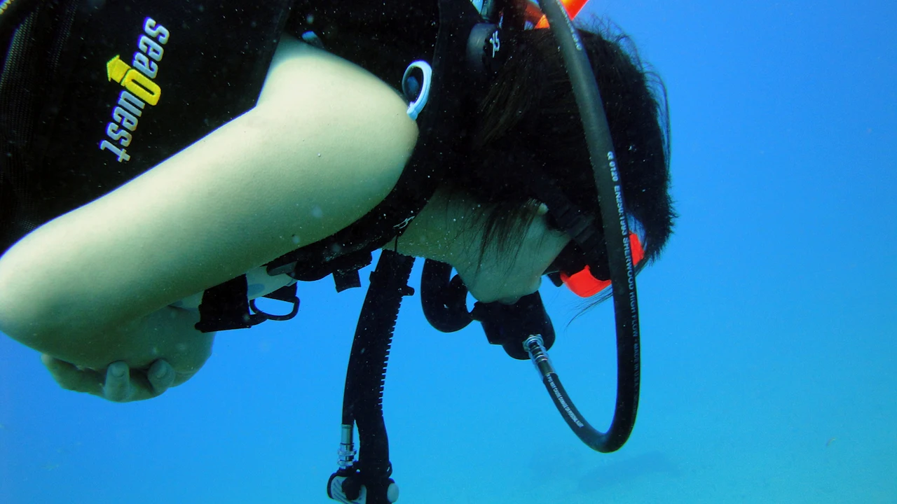 Diver in a wetsuit and BCD underwater