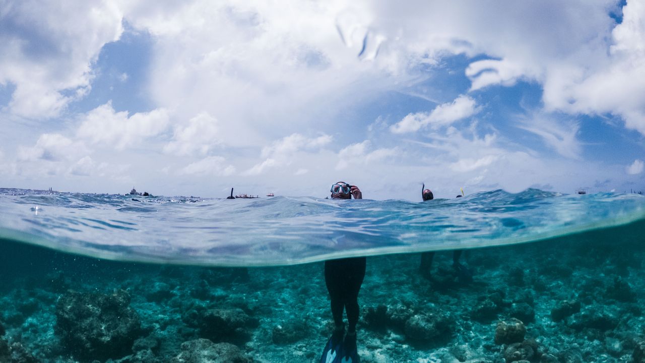Snorkeler floating face down above shallow coral heads in bright water
