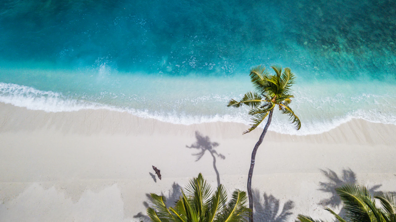 Aerial view of a white beach, turquoise water and palm trees