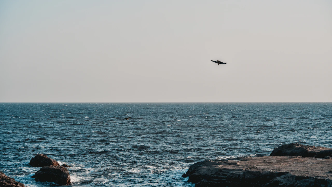 Small plane flying over the sea near a rocky shore