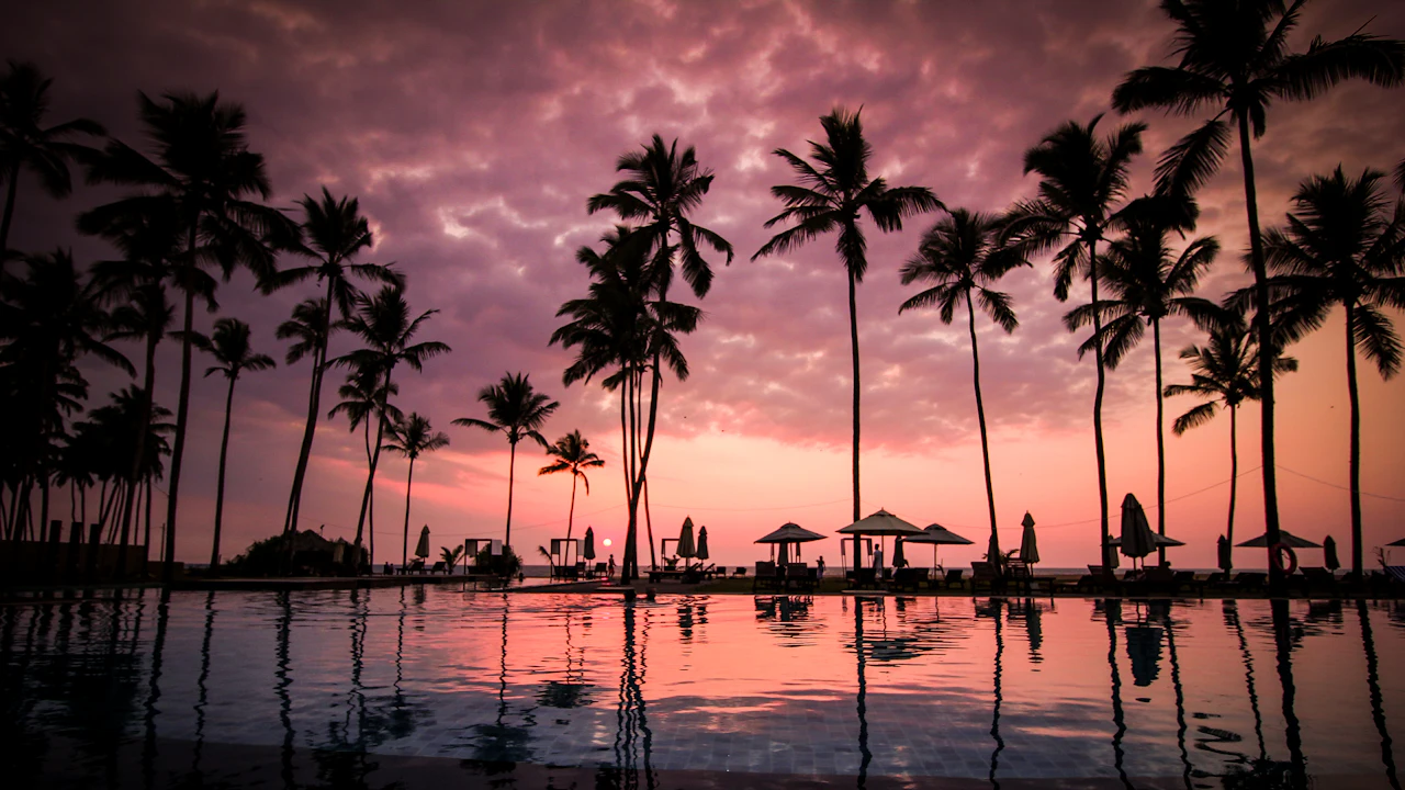 Palm trees silhouetted against a pink sunset and reflected in water