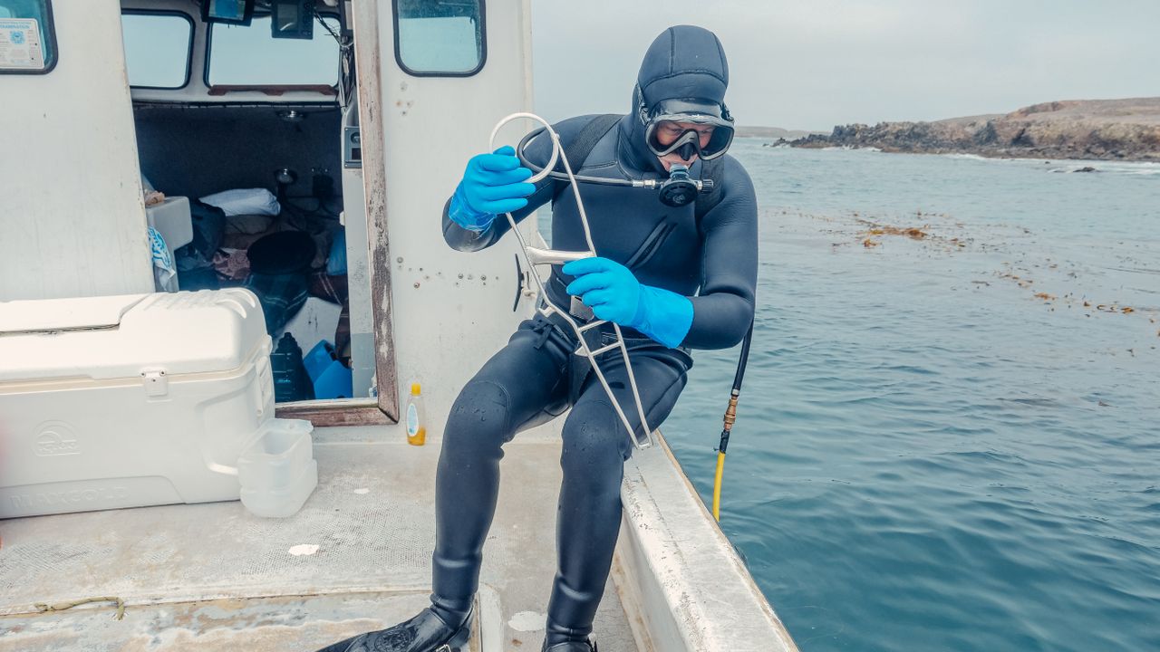 Diver in a drysuit holding a line at the side of a boat