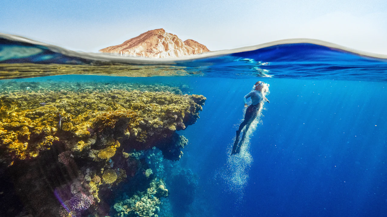 Diver swimming down beside a coral reef in clear water