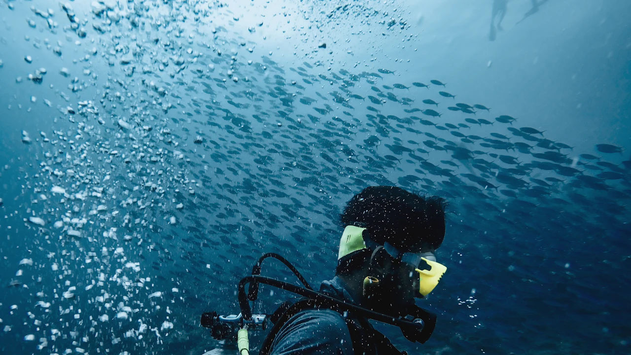 Scuba diver breathing out bubbles beside a large school of fish