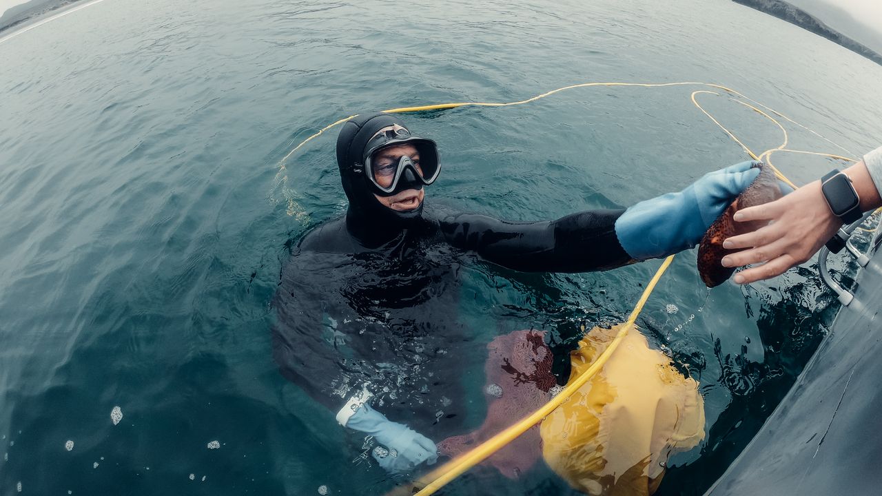 Scuba diver at the surface reaching for a hand from the boat