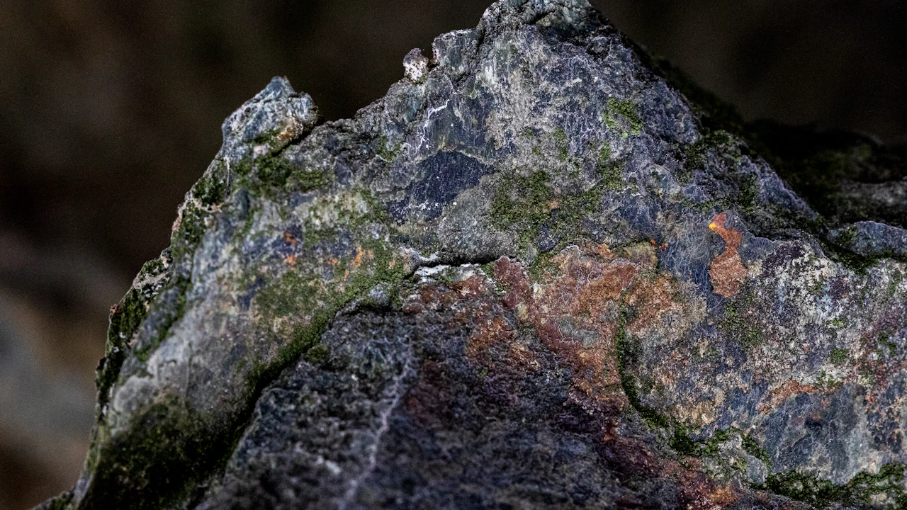 Rocky reef surface with mottled colors