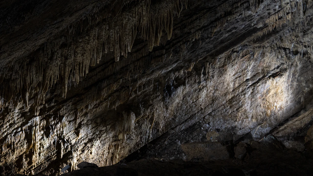 Headlamp beam lighting stalactites hanging from the ceiling of a cave