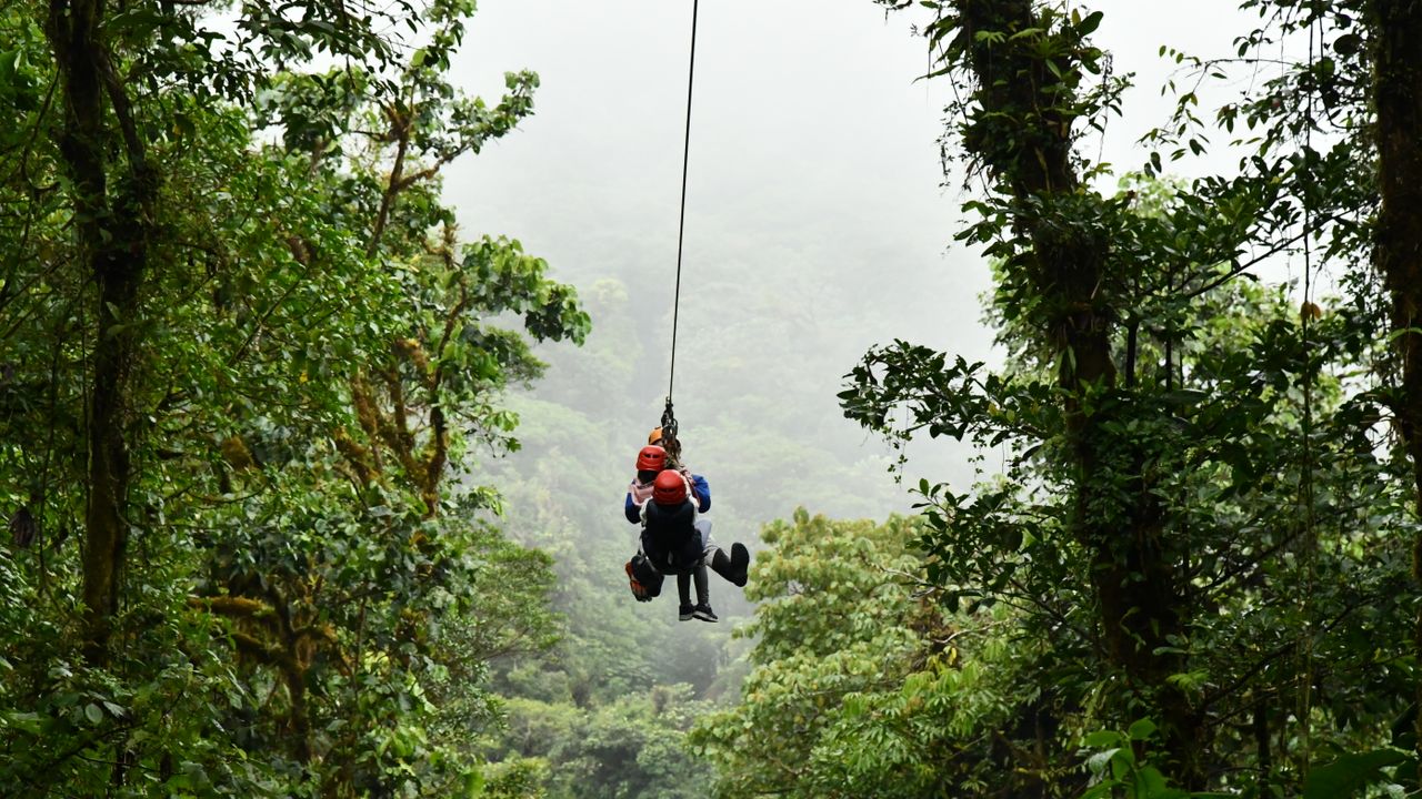 Person on a zip line above a green forest canopy