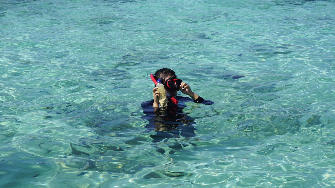 Snorkeler in a mask in clear shallow water