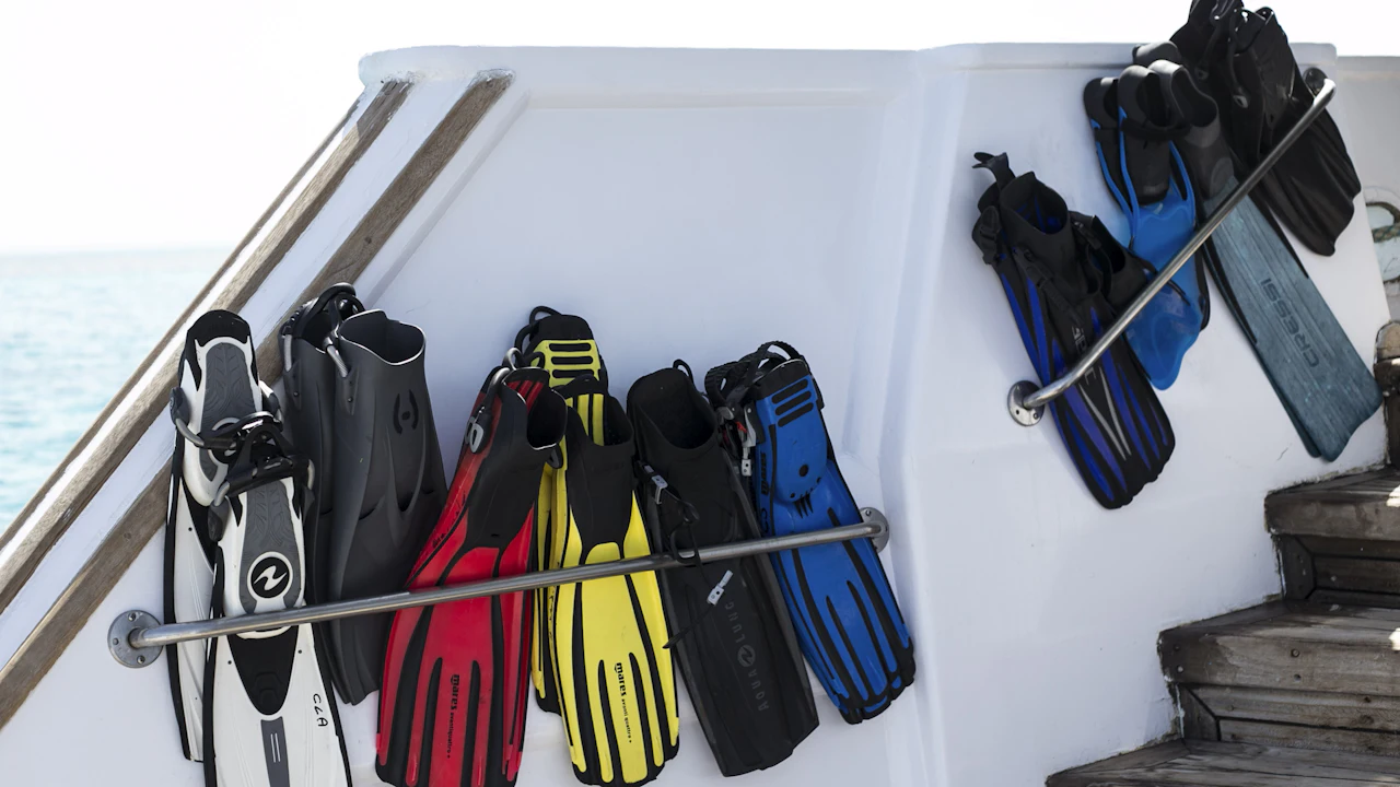Pairs of dive fins hanging on a rack on a boat