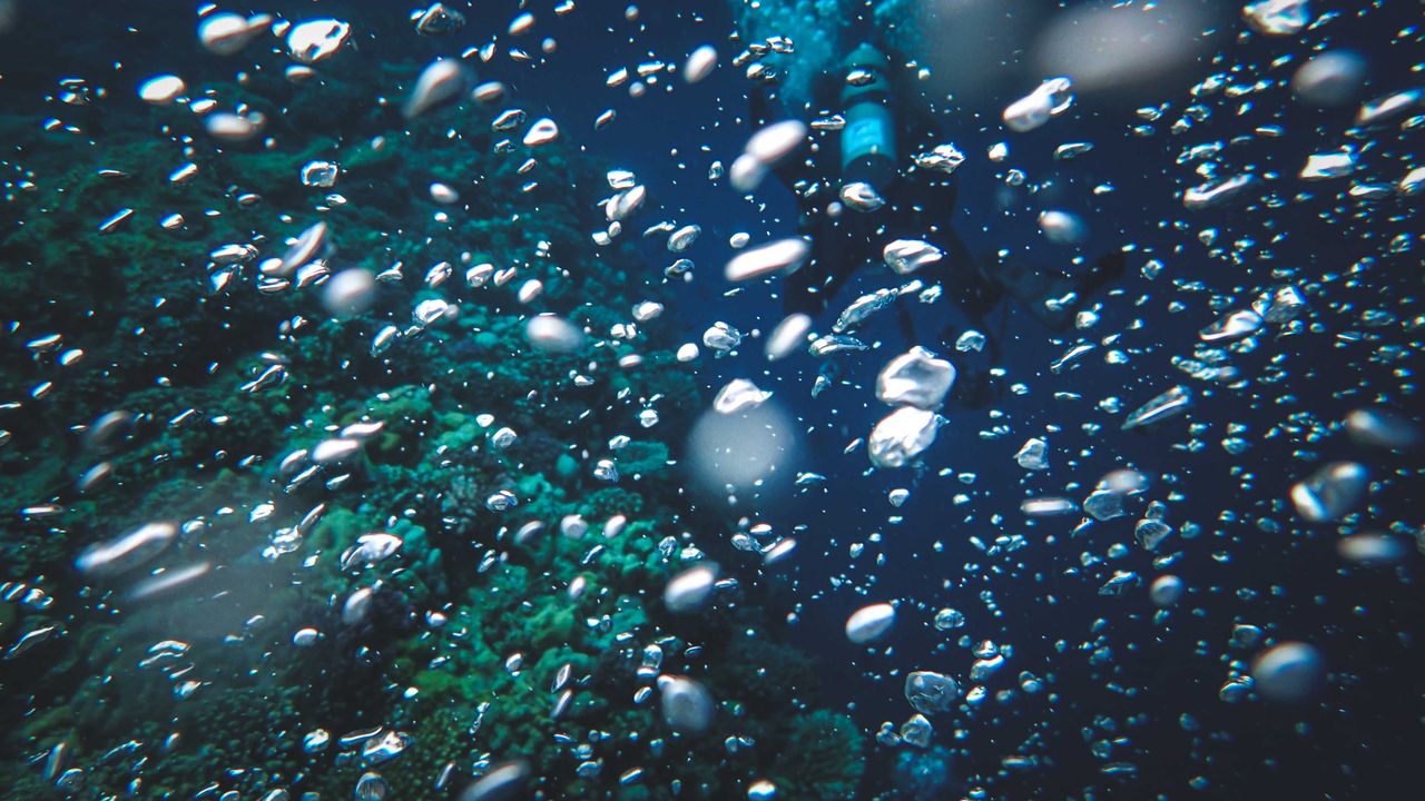 Air bubbles rising through clear blue water near a reef