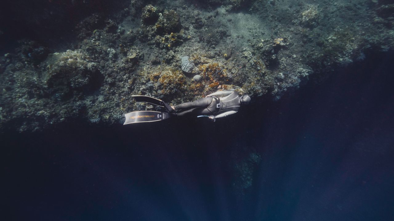 Diver swimming below a dark reef overhang