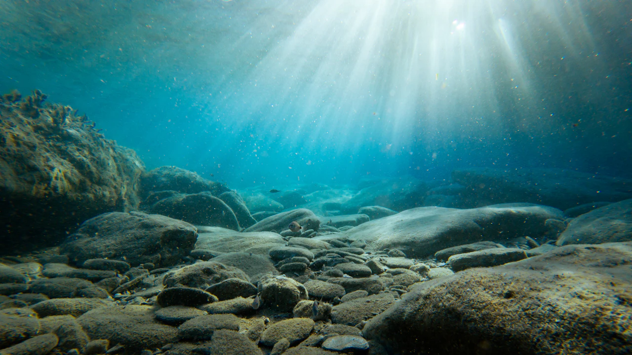 Bright sunlight streaming through clear shallow water over a sandy seabed
