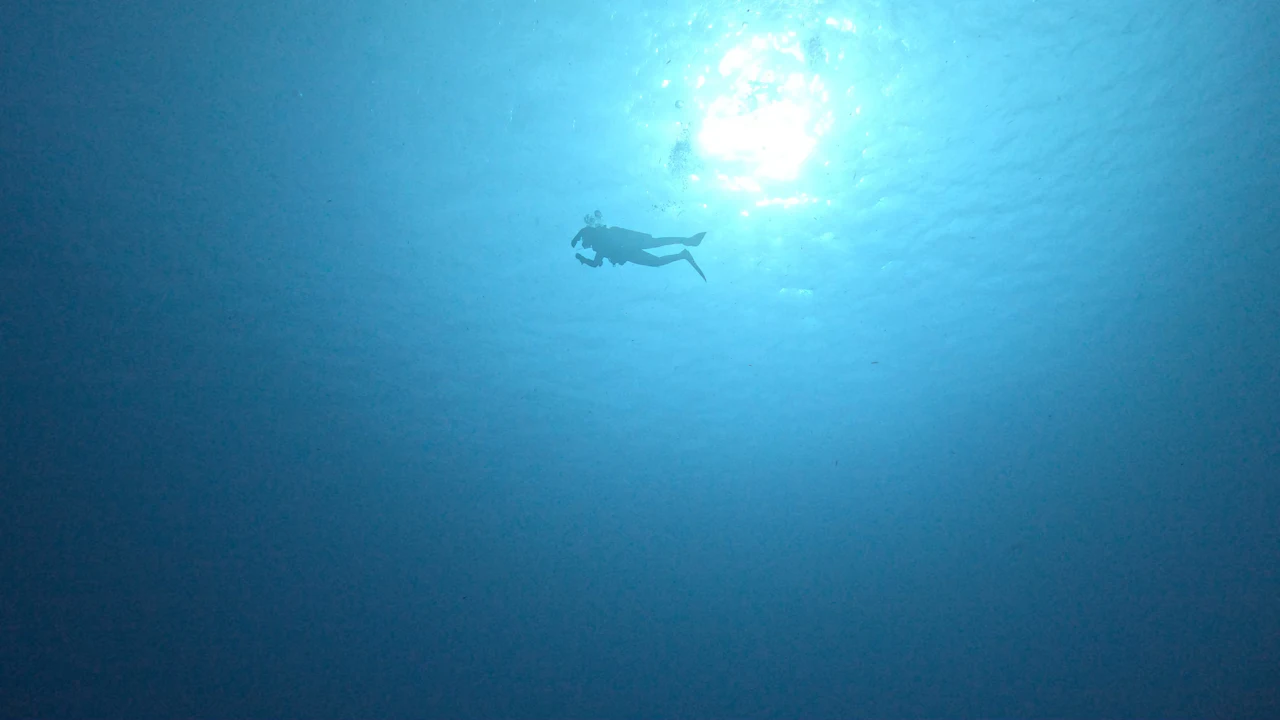 Scuba diver silhouetted below the bright sun at the surface