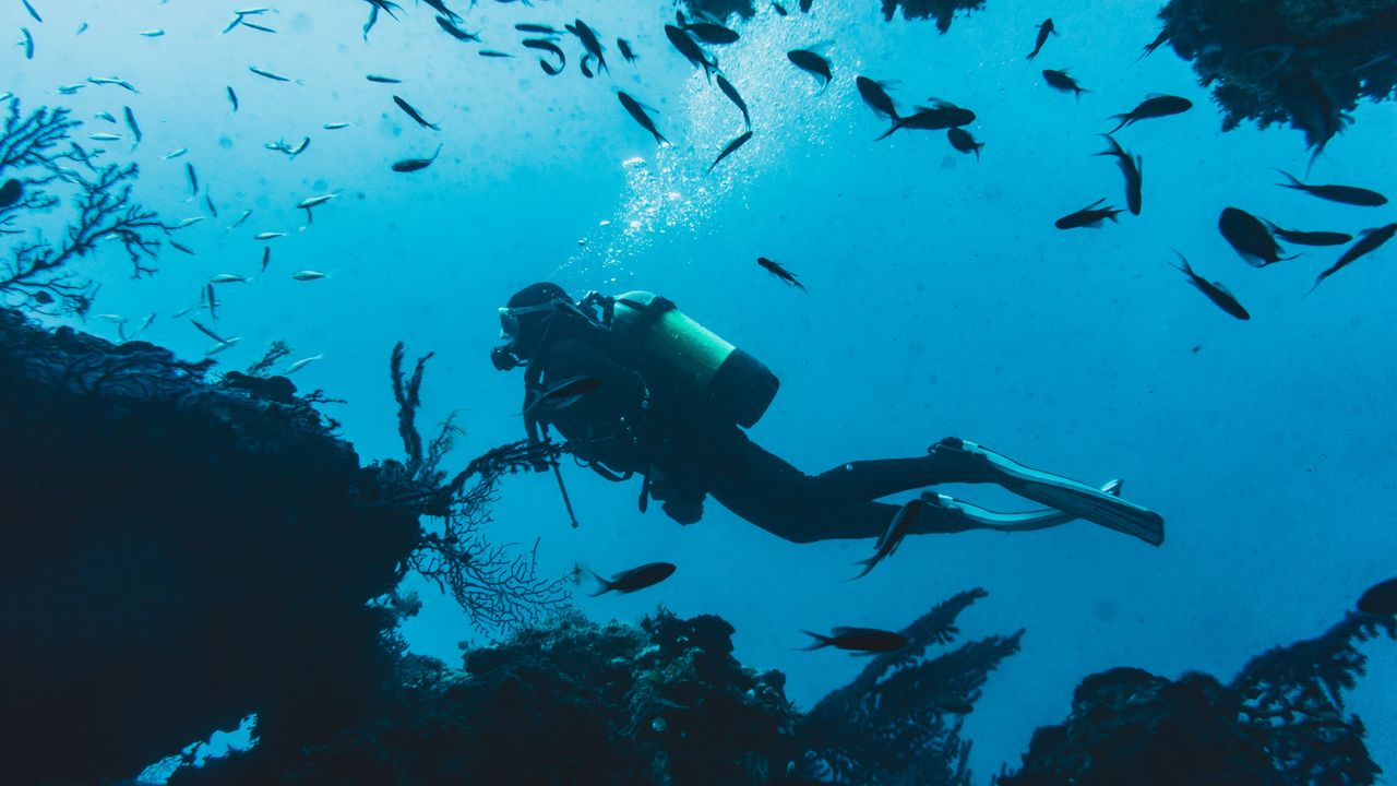 Scuba diver swimming slowly over a colorful coral reef in clear blue water