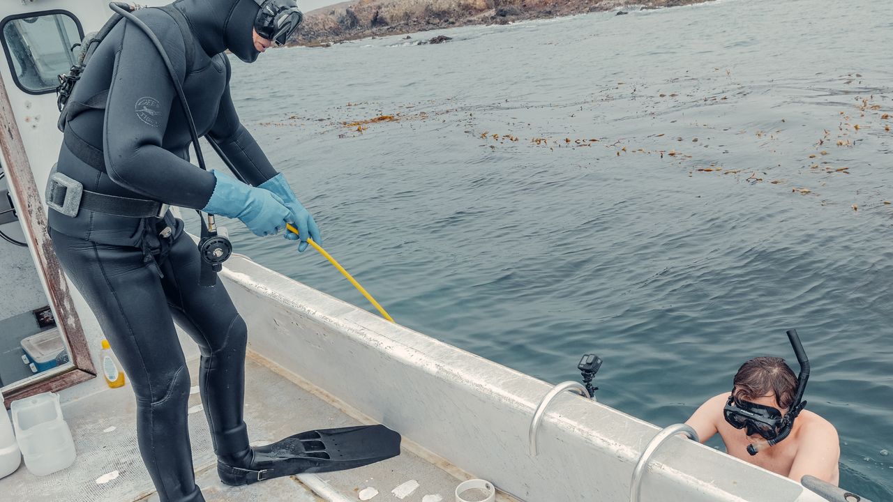 Diver in a drysuit stepping down from a boat toward the water