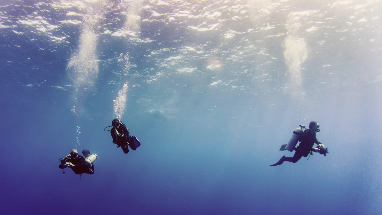 Three scuba divers swimming near each other in open blue water