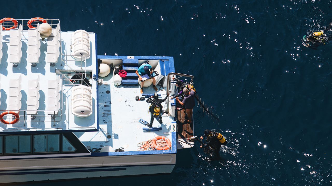 Aerial view of divers in the water beside a dive boat