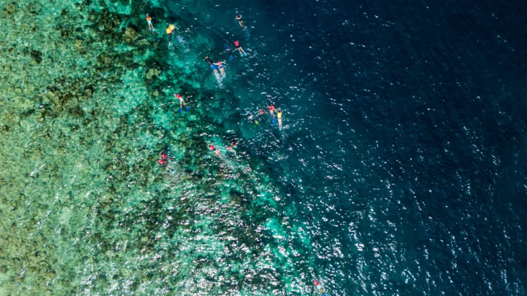 Aerial view of a reef edge where shallow water drops to deep blue