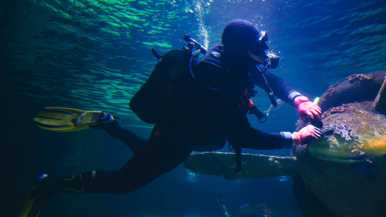 Scuba diver swimming close to a reef in blue light