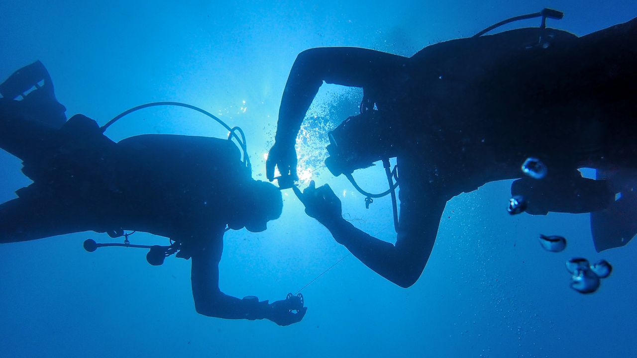 Two divers silhouetted against the light in blue water