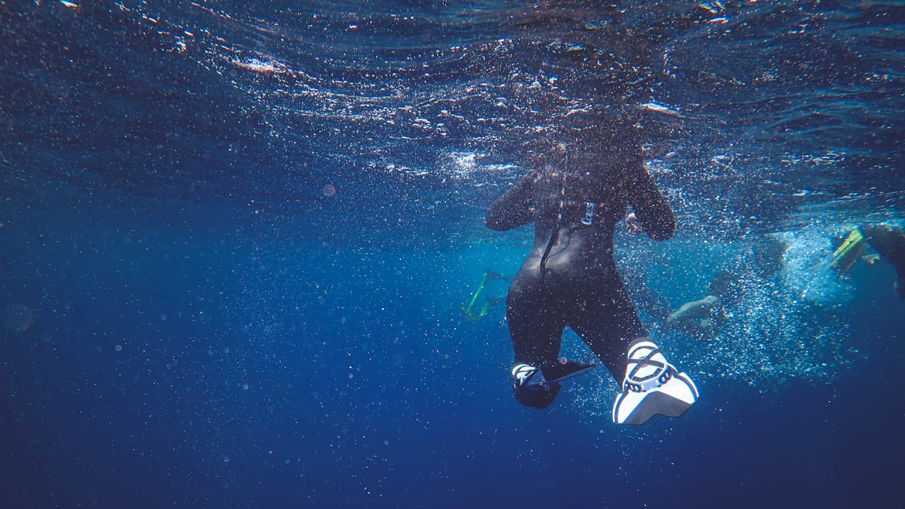 Person in a wetsuit swimming just below the surface