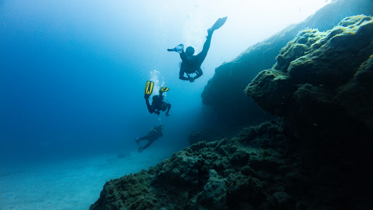 Divers swimming beside a reef wall in blue water