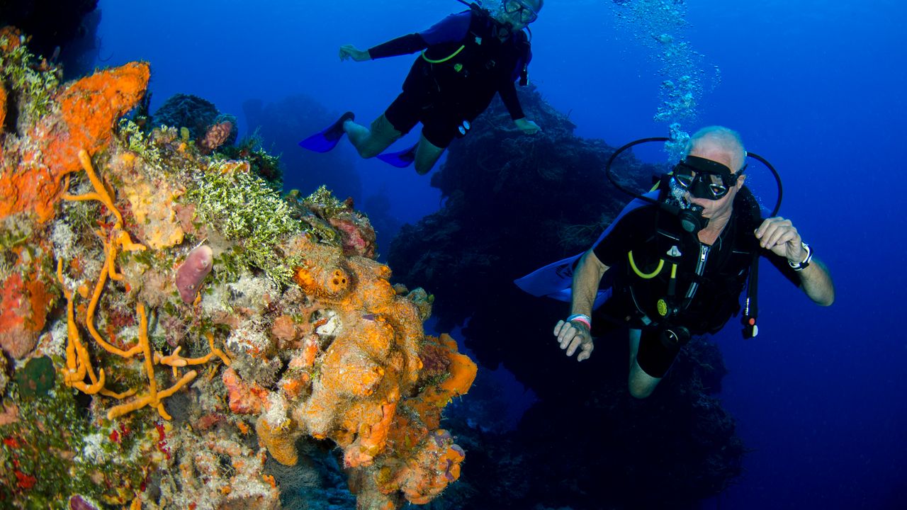 Two scuba divers swimming beside a steep coral reef wall