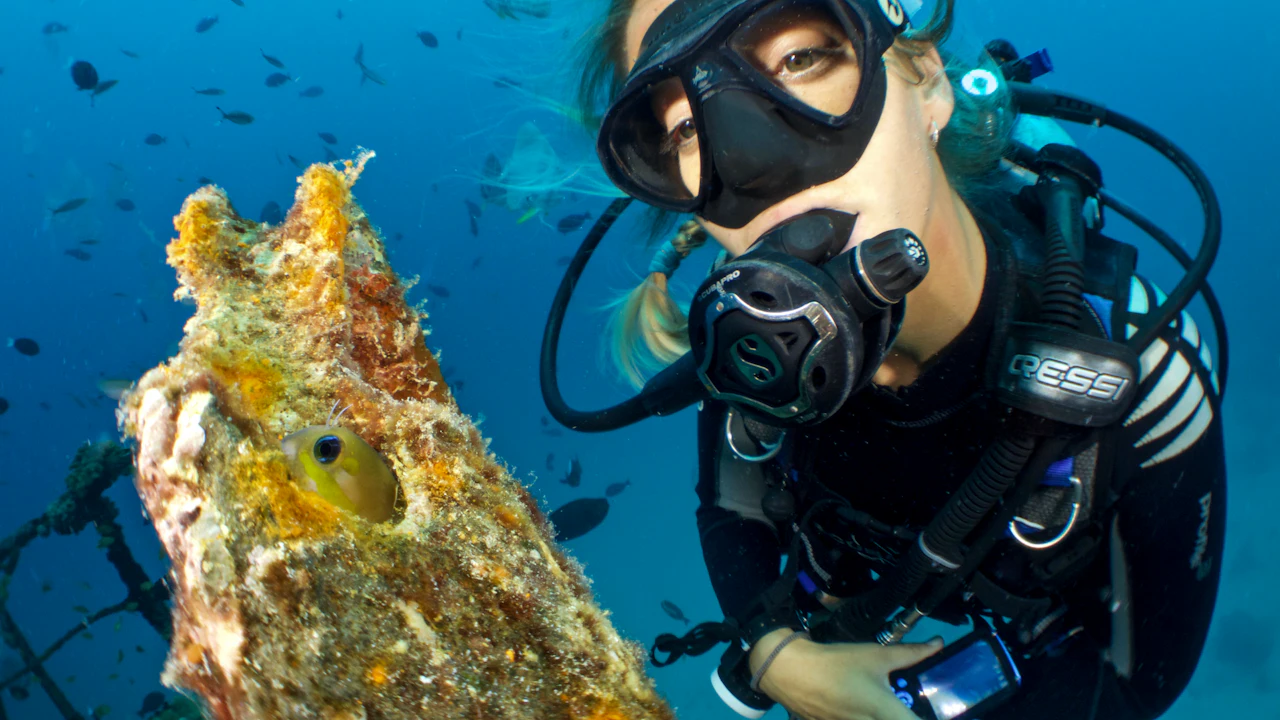 Scuba diver with a regulator beside a reef outcrop