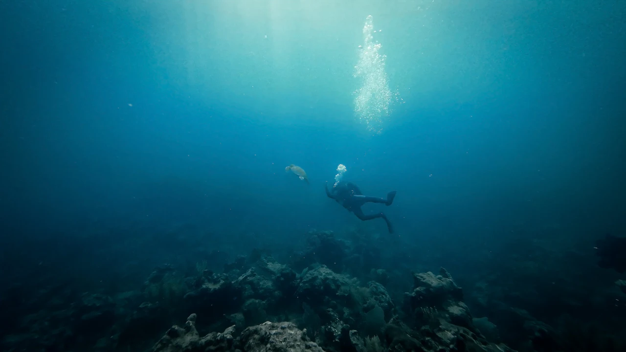 Diver swimming above a reef in shafts of light