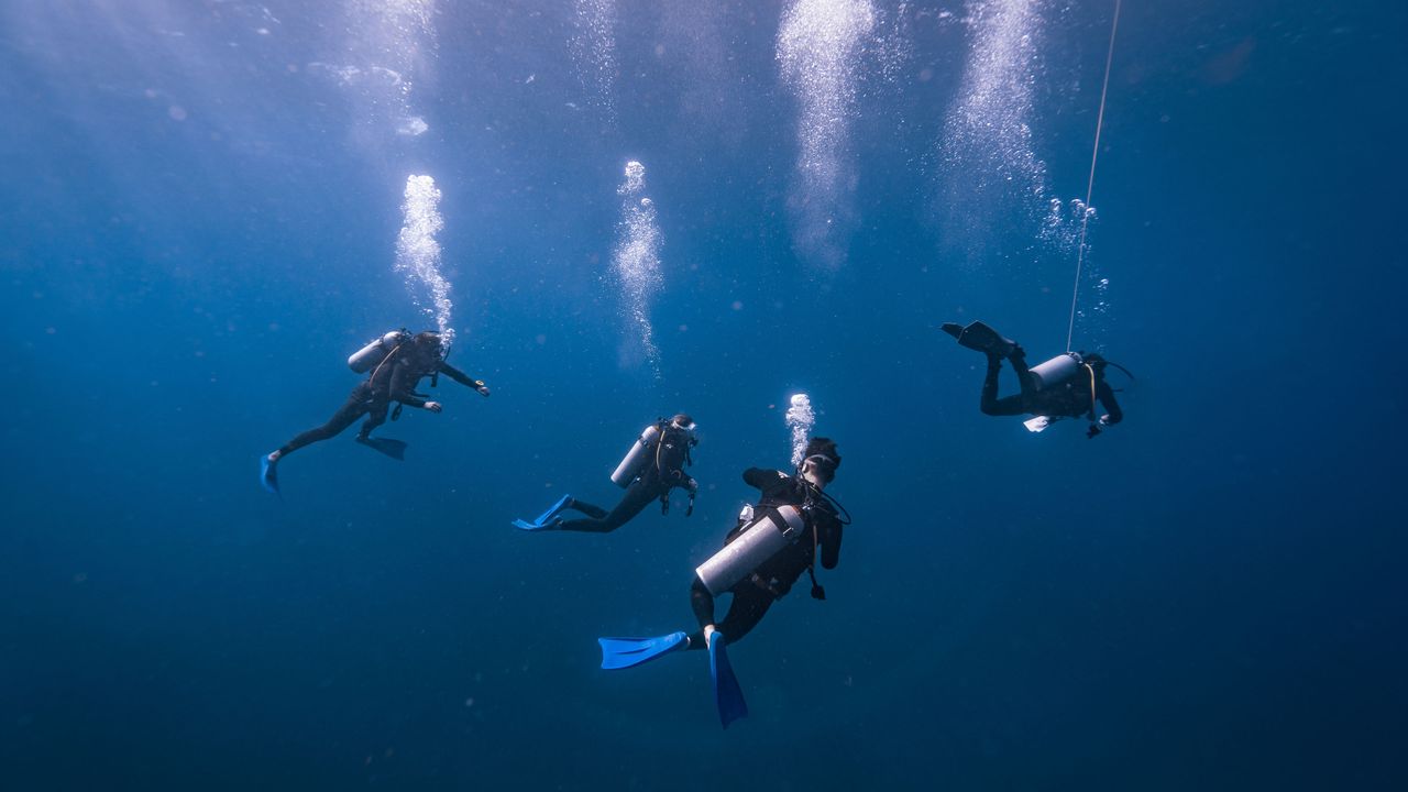 Group of divers descending in blue water