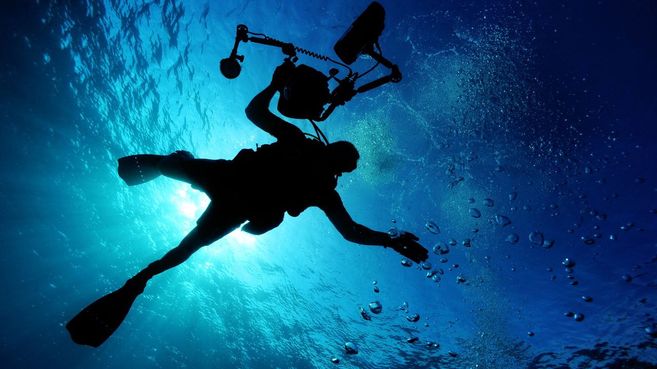 Diver silhouetted against bright blue water