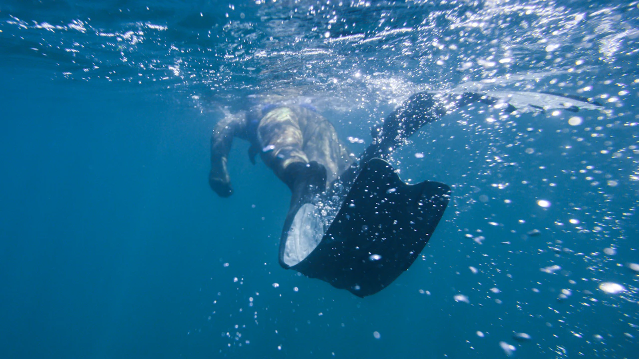 Diver kicking with fins just below the surface
