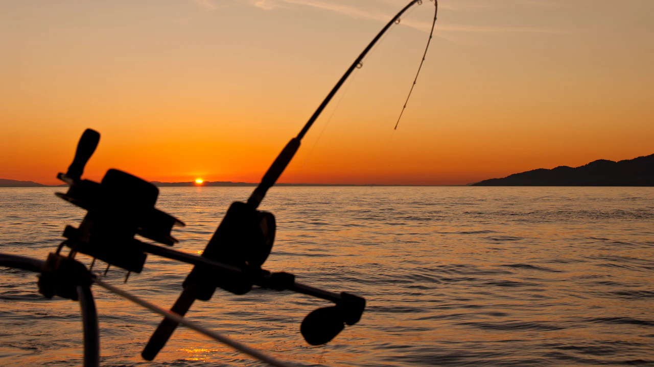 Fishing rods in holders on a boat at sunset