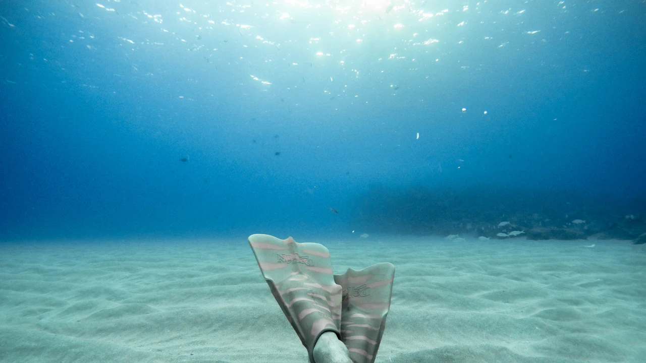 Long fins kicking gently above a sandy bottom