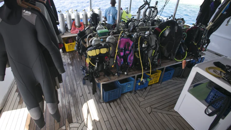 Rack of rental BCDs, regulators and wetsuits on a dive boat deck