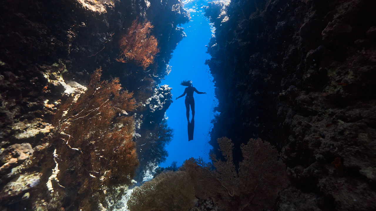 Diver swimming down a narrow reef canyon