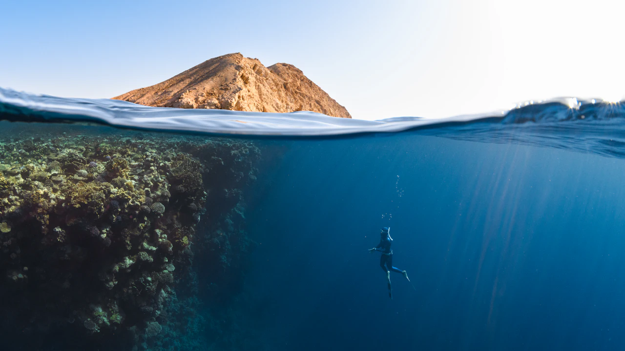 Diver swimming below a reef in a split view of sea and island