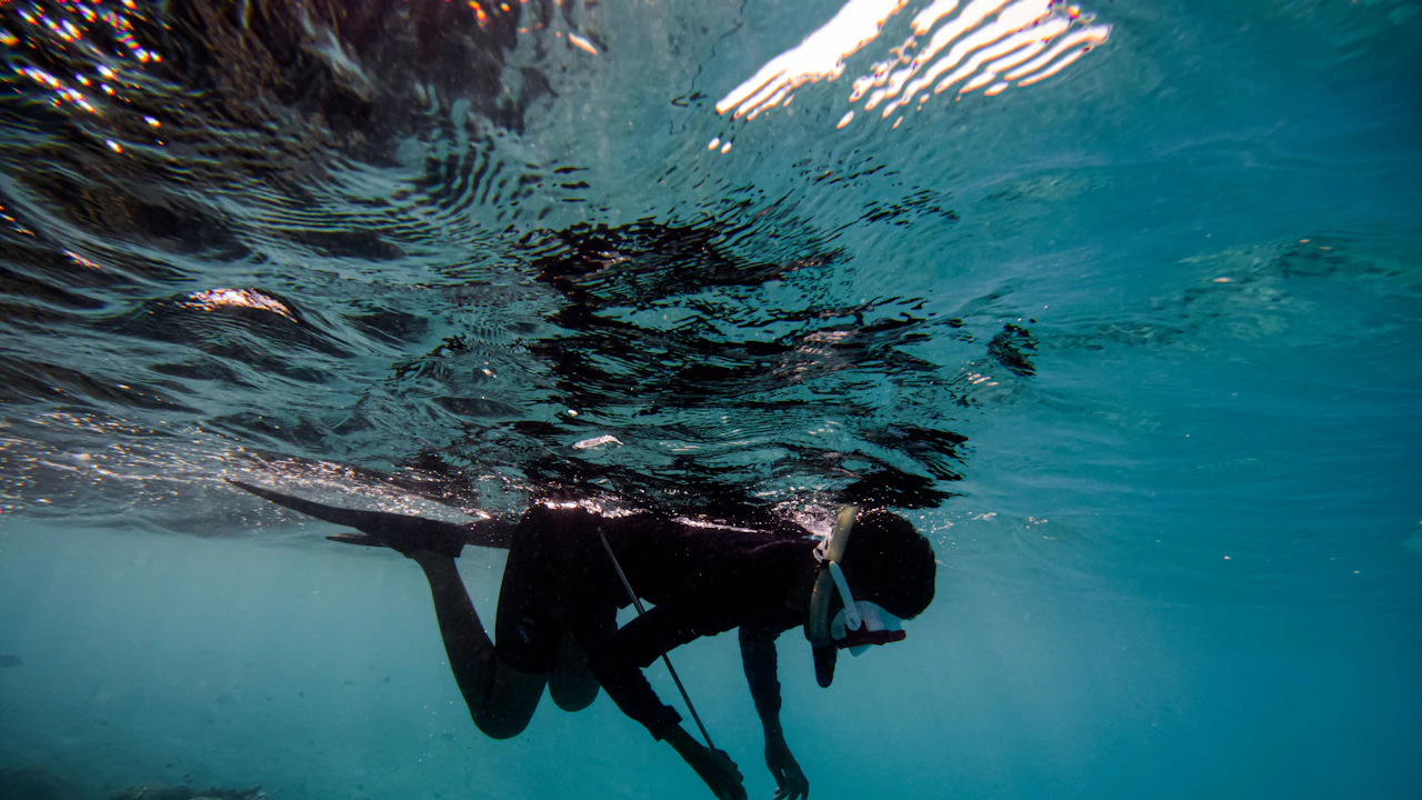 Free diver just below the surface