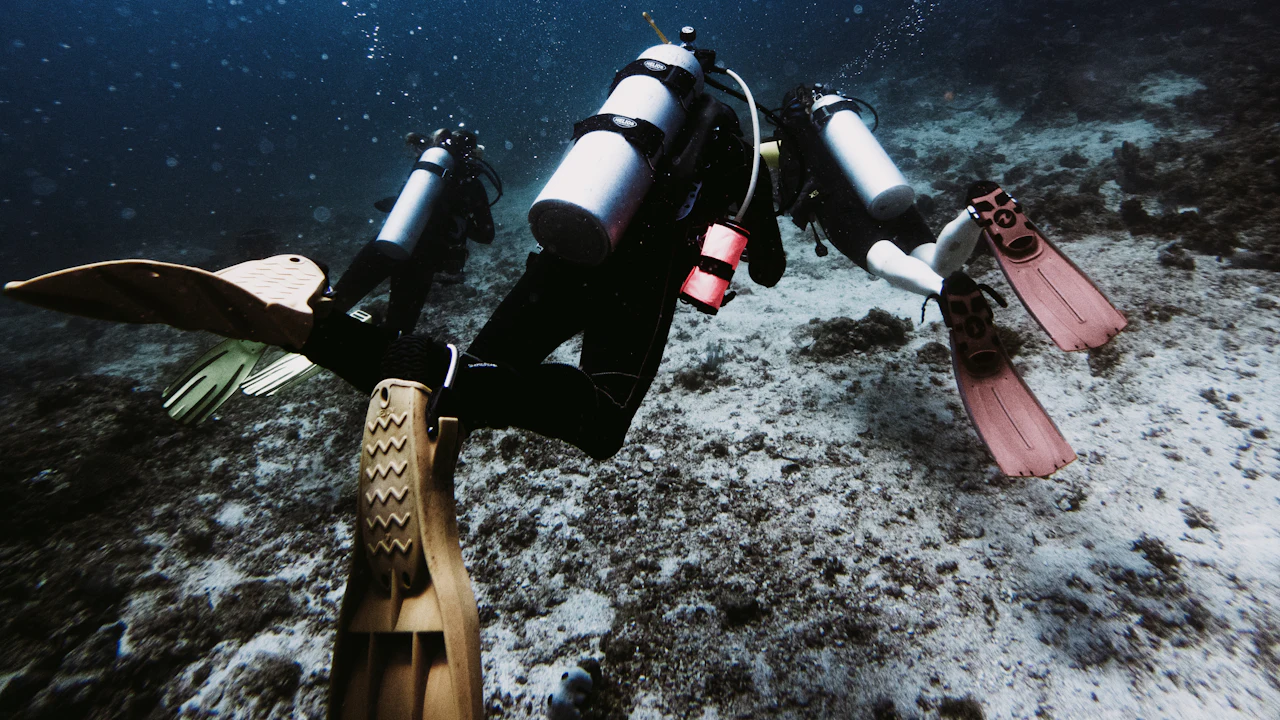 Divers in fins swimming over a rocky seabed