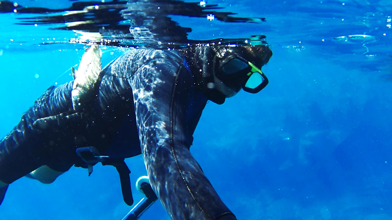 Diver in a full wetsuit swimming just below the surface