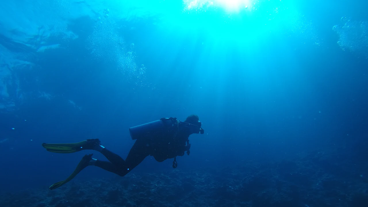 Scuba diver swimming above a reef with sunlight shining from the surface